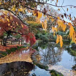 Kaibara Park