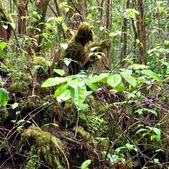 Hike Maui - Tours Near Me - Kahului, Hawaii Hike Maui - Tours Near Me - Kahului, Hawaii
