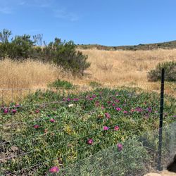 RM Total Yard Care - He installed this fence