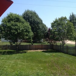 Hymes Tree Service - Very large, tall and old Evergreen tree removed.