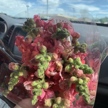 Whipstone Farm - Snapdragons :-) - Farmers Market Near Me - Paulden, Arizona