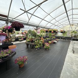 Thies Farm and Greenhouses