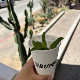 mint mojito iced coffee