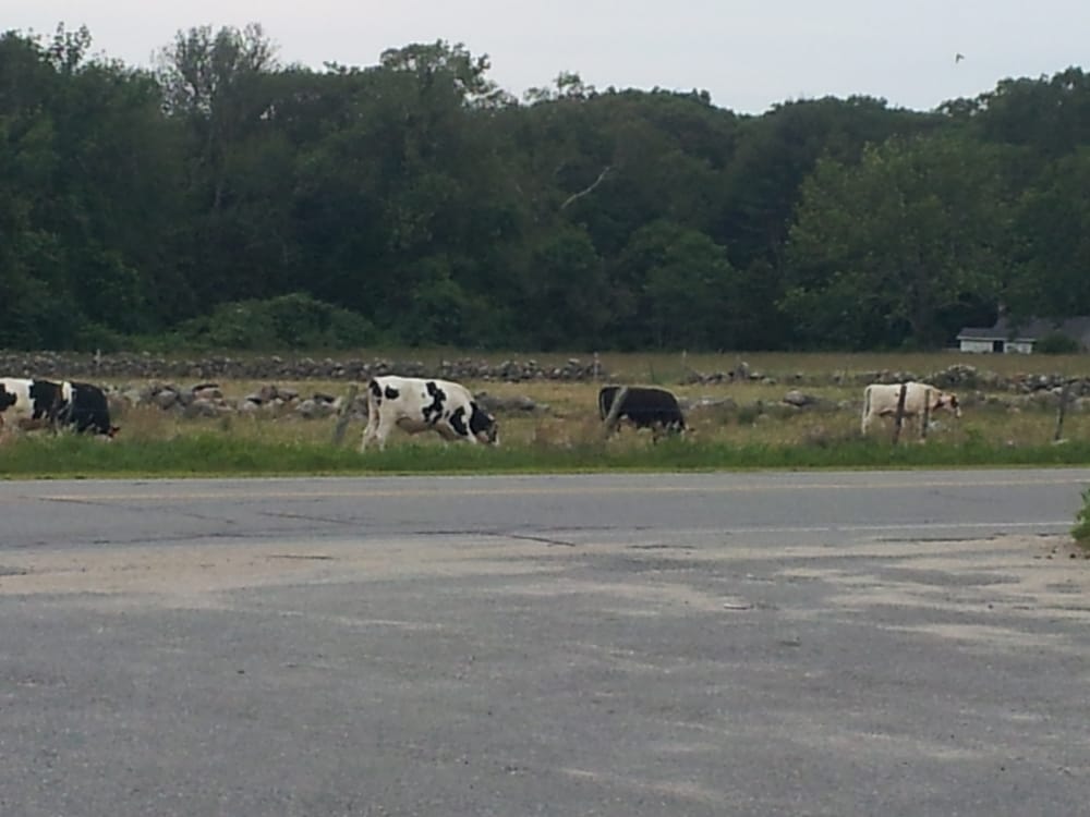 Westport Social Athletic Club