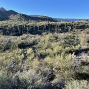 SPUR CROSS RANCH CONSERVATION AREA - 202 Photos & 42 Reviews - 44000 N ...