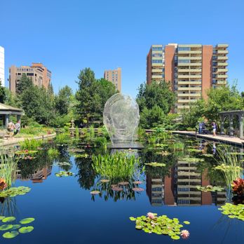 Denver Botanic Gardens - Water lillies - Botanical Gardens Near Me - Denver, Colorado Denver Botanic Gardens - Water lillies - Botanical Gardens Near Me - Denver, Colorado