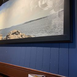 Red Lobster - Seagulls!!! Would you have a peek at that wall!!