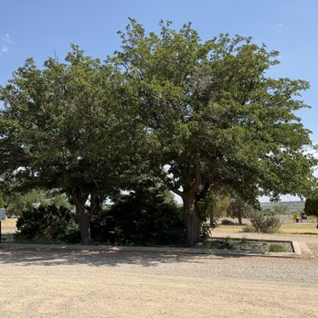 Ute Lake State Park - Visitor Center parking lot 07.31.2026 - Parks Near Me - Logan, New Mexico Ute Lake State Park - Visitor Center parking lot 07.31.2026 - Parks Near Me - Logan, New Mexico