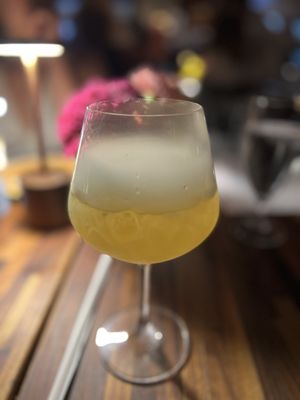 The Onion Tree by null