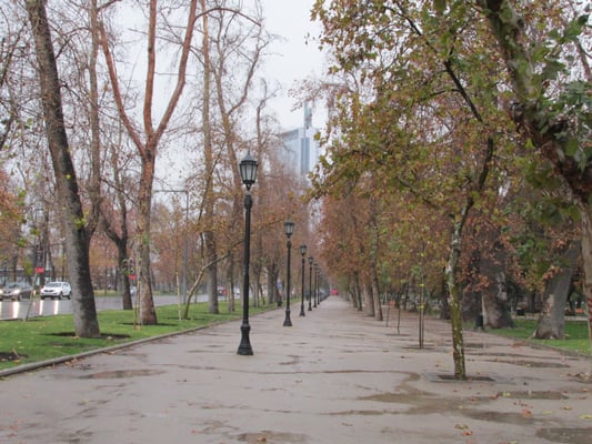 Parque Forestal by null
