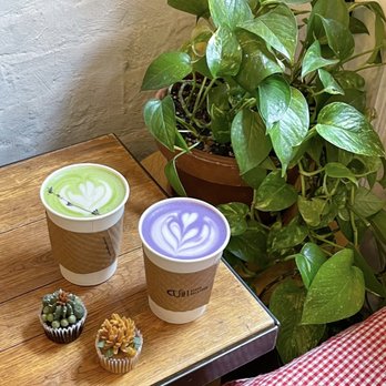 Urban Backyard - Mini Succulent Cupcakes + Ube Latte + Matcha Lavender Latte [food insta: @strwbrrryboba :)] - Coffee & Tea Near Me - New York, New York