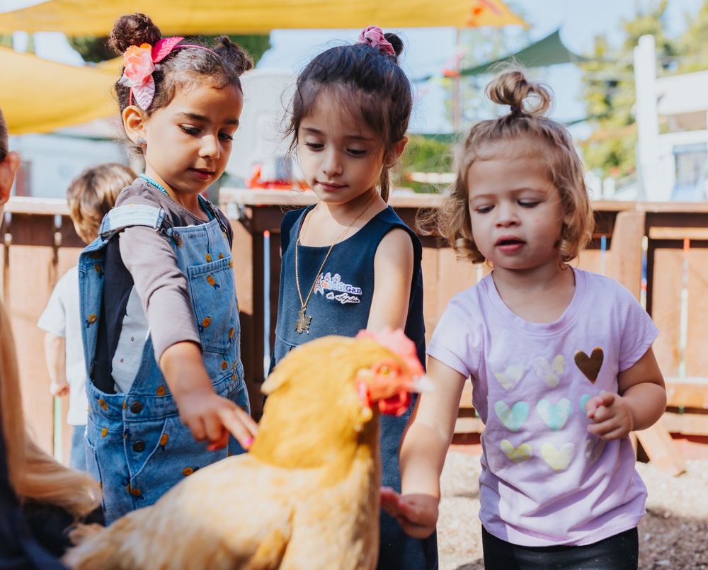 Le Petit Gan International Preschool - Los Angeles - childcare center in Los Angeles, CA