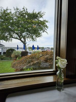 The Snapper Inn by null