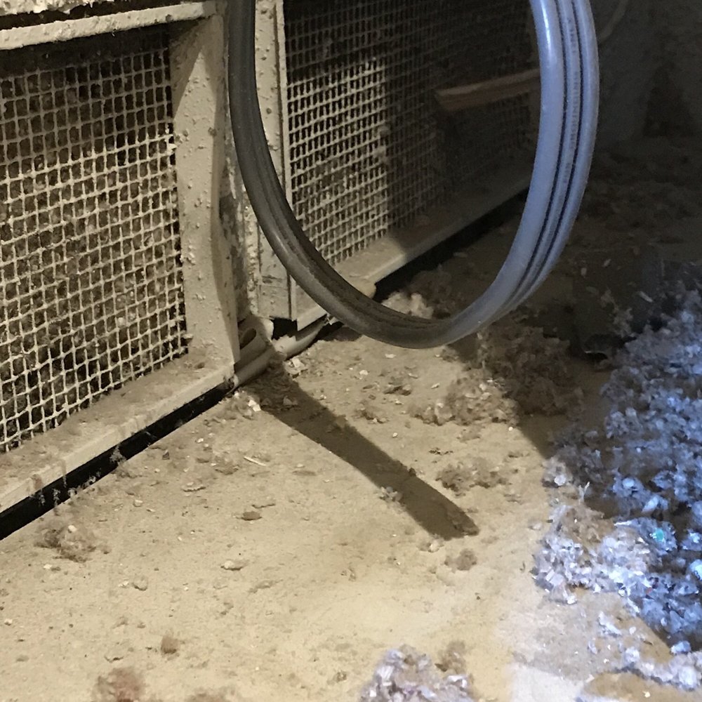 Terminix - Pest Control Near Me - Ventura, California Terminix - Pest Control Near Me - Ventura, California