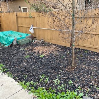 Pacific Grass & Turf - Before - Artificial Turf Near Me Pacific Grass & Turf - Before - Artificial Turf Near Me