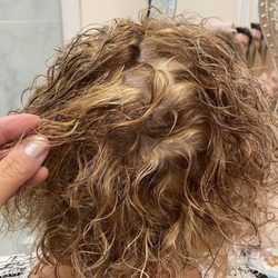 Meridian House of Hair - This is what you get asking for subtle natural looking highlights by Jennifer. Unacceptable! Even the darker areas around the face are red!