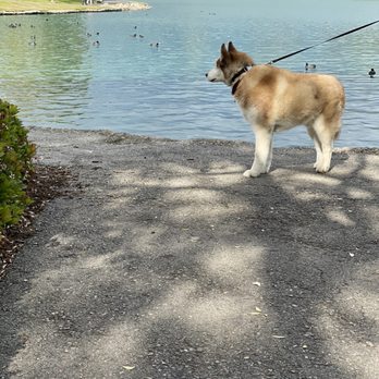 The Spaw - My best friend! - Pet Groomers Near Me - Tustin, California