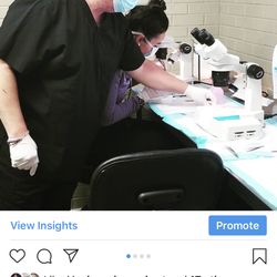 Robotic Hair Institute - Dr. Pope overseeing beautiful grafts being trimmed and prepped for implantation! Check out our IG page @robotichairinstitute
