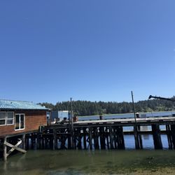 Toni's Canine Castle - Picture of Florence, Oregon. A place you are visiting that you might need a doggy daycare to do fun things as you travel.