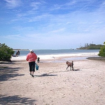 Dog Beach Park - Dog Parks Near Me - Fort Myers, Florida Dog Beach Park - Dog Parks Near Me - Fort Myers, Florida