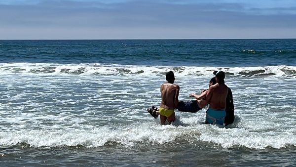 Sunset State Beach by null