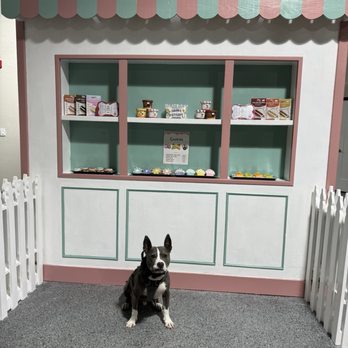 Frontier Dog & Co - Pet Stores Near Me - Prescott, Arizona Frontier Dog & Co - Pet Stores Near Me - Prescott, Arizona