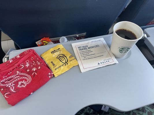 Delta Air Lines by null