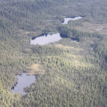 Taquan Air - Just beautiful scenery. - Aerial Tours Near Me - Ketchikan, Alaska Taquan Air - Just beautiful scenery. - Aerial Tours Near Me - Ketchikan, Alaska