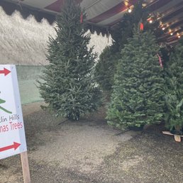 Smallish tree area but it's dense inside- they'll bring whatever you want from the middle