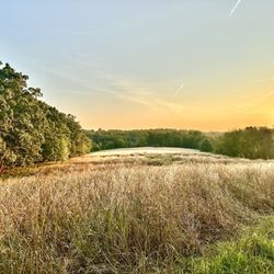 Hildacy Preserve - Natural Lands - Hildacy Preserve