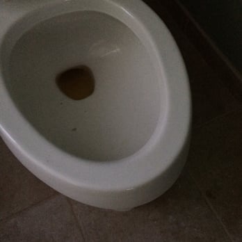 Mammoth Restoration - A Mammoth employee decided to use the toilet after the water lines had been disconnected. - Damage Restoration Near Me - Pleasant Gap, Pennsylvania