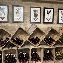 Meckleys Flavor Fruit Farm - Wine Selection