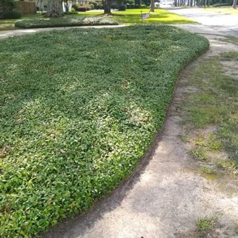 New Vision Lawn Care - Photo - Lawn Services Near Me - West Monroe, Louisiana New Vision Lawn Care - Photo - Lawn Services Near Me - West Monroe, Louisiana