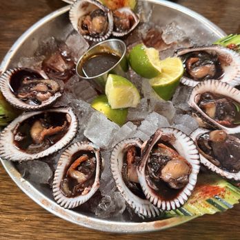 Mariscos Costa Alegre - Blood clams - Seafood Near Me - San Jose, California Mariscos Costa Alegre - Blood clams - Seafood Near Me - San Jose, California
