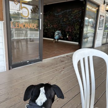 The Lemonade Parlor - Outdoor seating - Hot Dogs Near Me - Lake George, New York