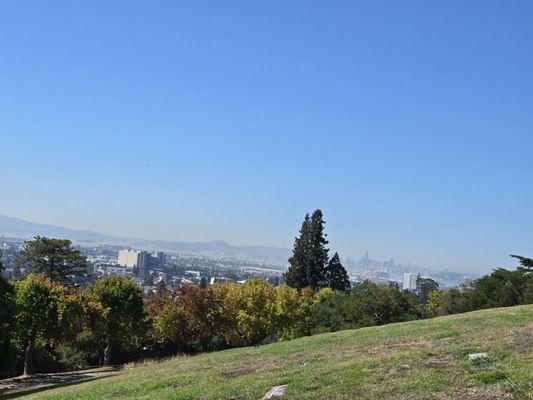 Piedmont Funeral Services and Mountain View Cemetery by null