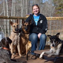 Dog Training Camp USA