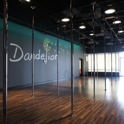 Dandelion