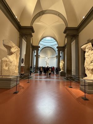 Galleria dell’Accademia di Firenze by null