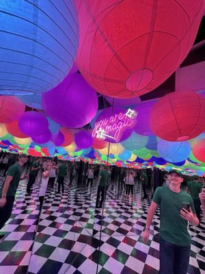 Ripley’s Illusion Lab by null