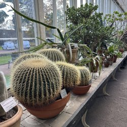 Palmhuset