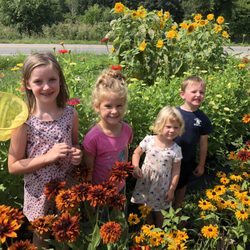 Raindance Organic Farm - In the you-pick certified-organic flower field at Raindance Organic Farm