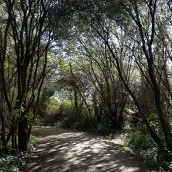 Parque de Salburua