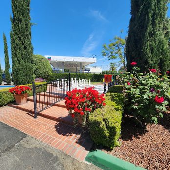 Common Heart - Coffee & Tea Near Me - Visalia, California