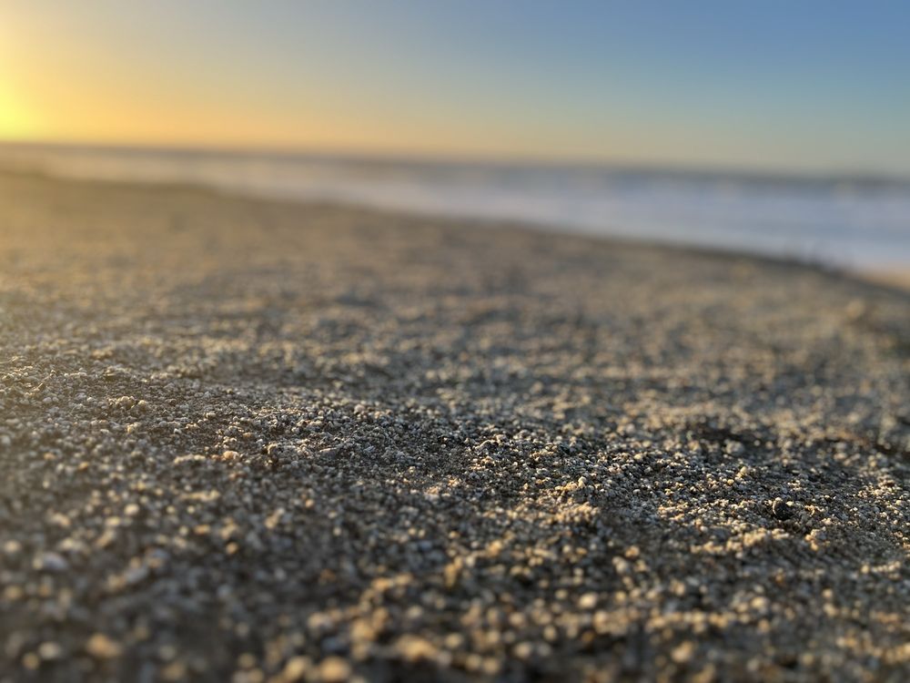 Half Moon Bay State Park Logo