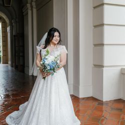 Wedding Dress & veil