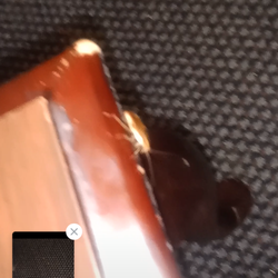 Quality Inn & Suites Albany Airport - Cockroach crawling on the coffee table