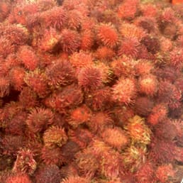 Rambutan