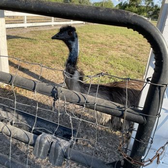 Alaska Farms - Yoga Near Me - Orlando, Florida Alaska Farms - Yoga Near Me - Orlando, Florida