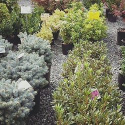 Hetrick Gardens Landscape & Nursery Center
